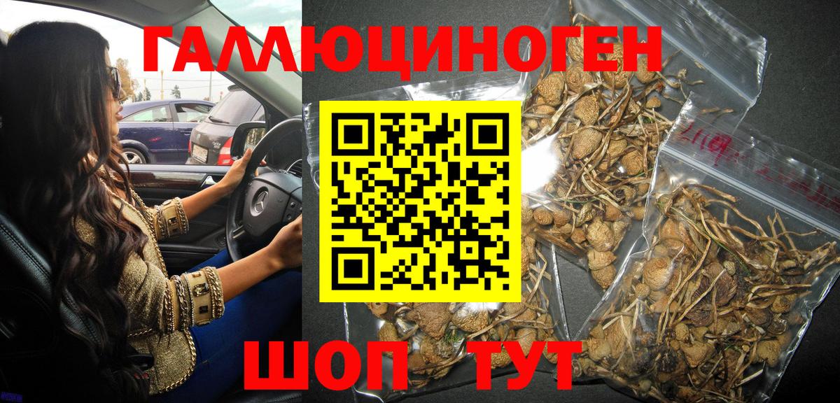 Галлюциногенные грибы мухоморы Россия